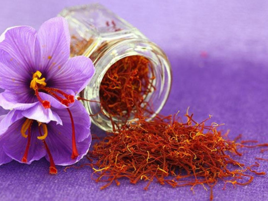 Saffaron Badiee - Nhụy hoa nghệ tây, thần dược bảo vệ sức khỏe